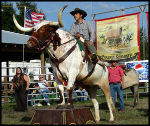 American Frontier Wildlife Show