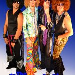 70s Tribute Band the Shagadelics
